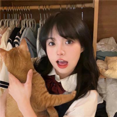 笨金鱼